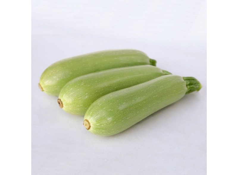 Sirio F1 - насіння кабачка, 500 cем., Cora Seeds Sirio F1 - насіння кабачка, 500 cем., Cora Seeds